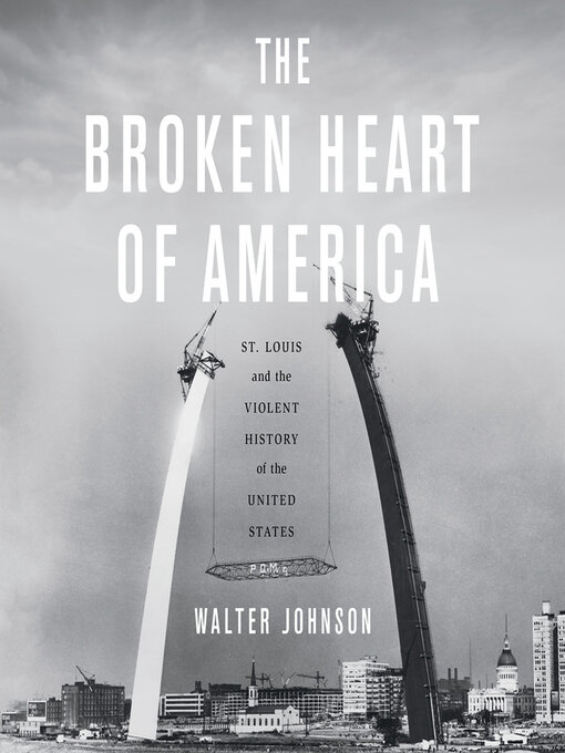 Cover image for The Broken Heart of America